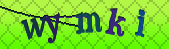 Error: Please enable images in your browser
