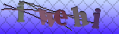 Error: Please enable images in your browser