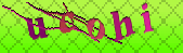 captcha_error_images_off