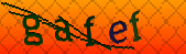 Error: Please enable images in your browser