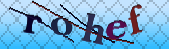 Error: Please enable images in your browser