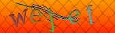 captcha_error_images_off