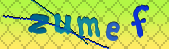 captcha_error_images_off