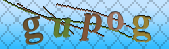 Error: Please enable images in your browser