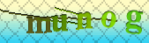 captcha_error_images_off