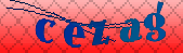 captcha_error_images_off