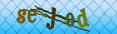 Error: Please enable images in your browser