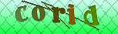 captcha_error_images_off