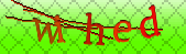 Error: Please enable images in your browser