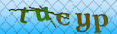 Error: Please enable images in your browser