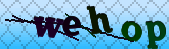 Error: Please enable images in your browser