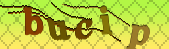 captcha_error_images_off