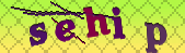 captcha_error_images_off