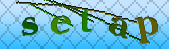 Error: Please enable images in your browser
