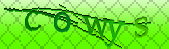 Oops!! Captcha error!!!