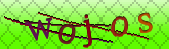 Error: Please enable images in your browser