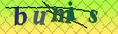 captcha_error_images_off