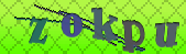captcha_error_images_off