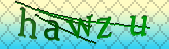 captcha_error_images_off