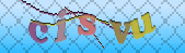 captcha_error_images_off