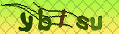 captcha_error_images_off