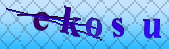 captcha_error_images_off