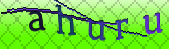 captcha_error_images_off