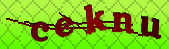 captcha_error_images_off