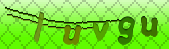captcha_error_images_off