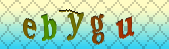 captcha_error_images_off