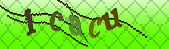captcha_error_images_off
