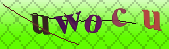 Error: Please enable images in your browser