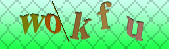 captcha_error_images_off