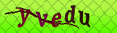 captcha_error_images_off
