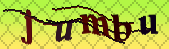 captcha_error_images_off