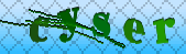 Error: Please enable images in your browser
