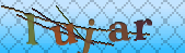 Error: Please enable images in your browser