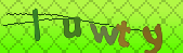 Error: Please enable images in your browser