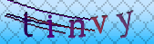 captcha_error_images_off