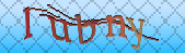 captcha_error_images_off