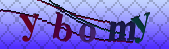 Error: Please enable images in your browser
