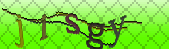 captcha_error_images_off