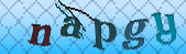 Error: Please enable images in your browser
