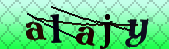 Error: Please enable images in your browser