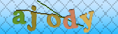 Error: Please enable images in your browser