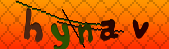 Error: Please enable images in your browser